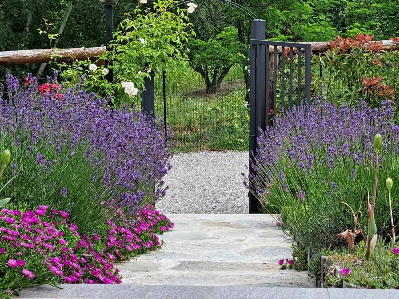 Stone path between lavender and flowers in the Ciabot garden