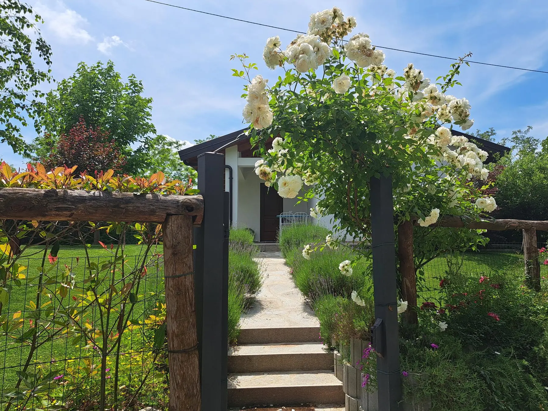 The entrance gate of Il Ciabot di Rosa between white roses and lavender